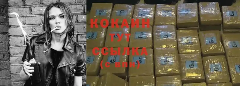 КОКАИН Fish Scale  omg ТОР  Шадринск 